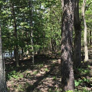 Meet your Posher, Desiree